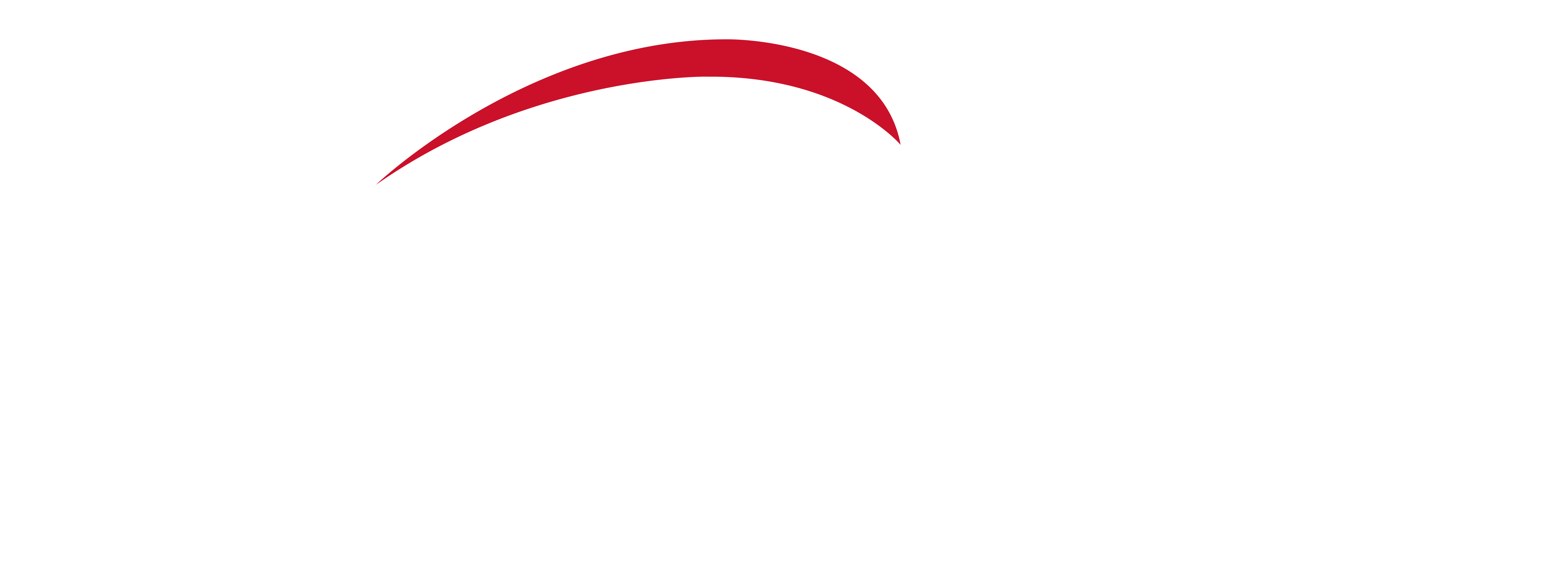 Xinsheng Electric Logo